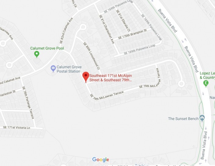 Calumet Grove The Villages Sinkholes Interactive Sinkhole Maps